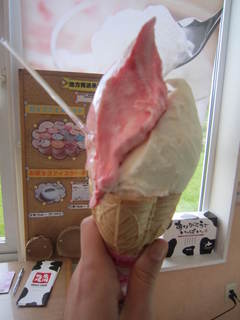IMG_0146岩瀬牧場アイスクリーム.JPG