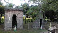 090921ACk@gC.jpg