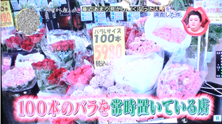 100本のバラ.png