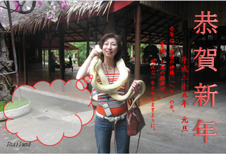 2013年.png