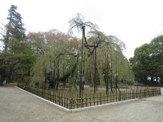 IMG_1746.JPG