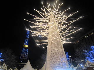 IMG_6983.JPG