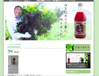 siso.png
